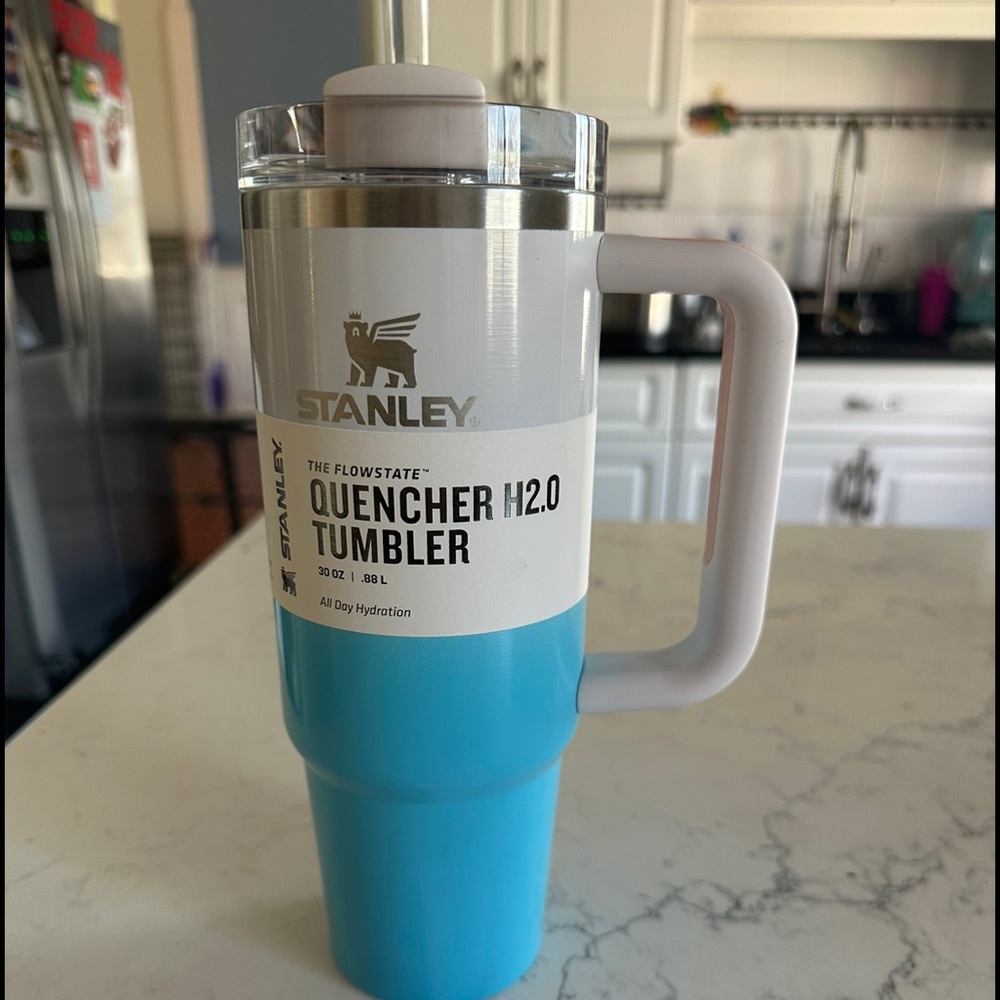 BNWT pool ombre stanley 30oz